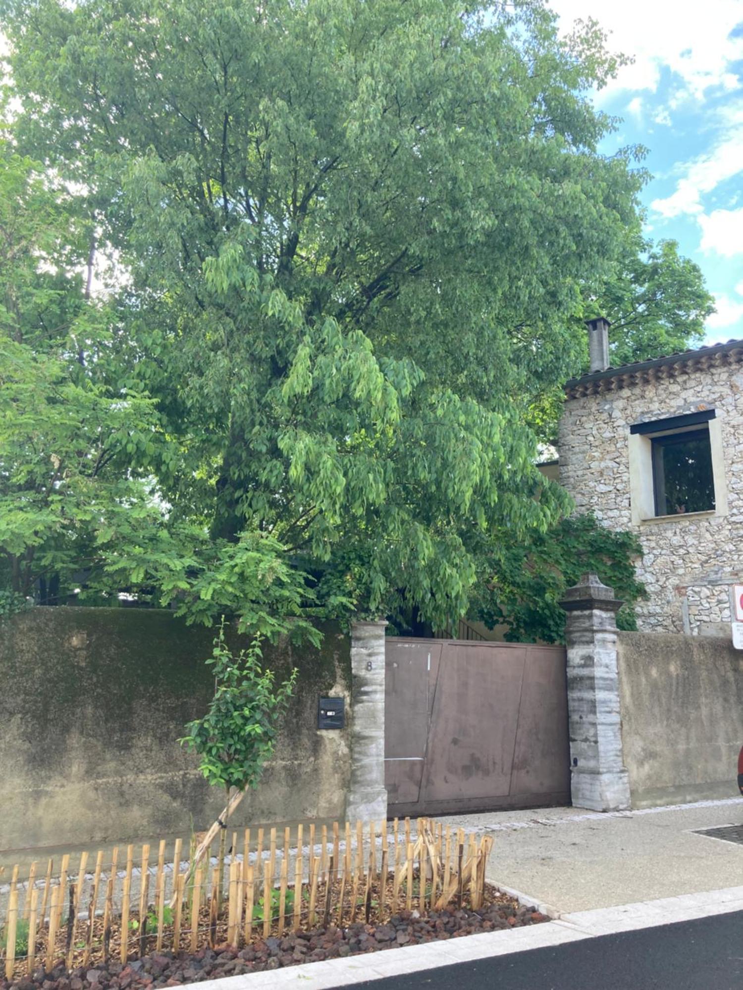 La Chambre Du Parc Saint-Martin-de-Londres Ngoại thất bức ảnh